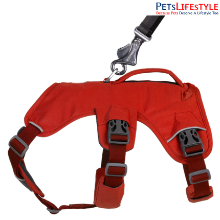 Ruffwear Web Master Dog Harness | Supportive Multi-Use Harness for Assistance, Hiking & Working Dogs