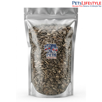 Petslifestyle Premium Sunflower Seeds (500g) – High Energy Bird Food for Parrots & Exotic Birds
