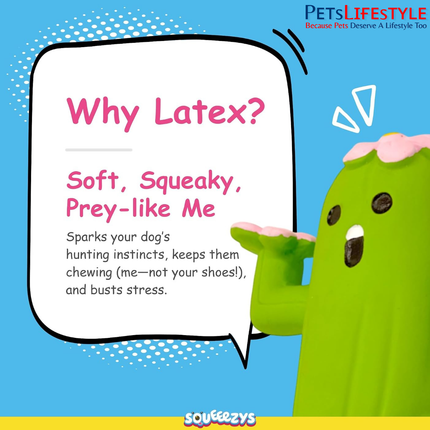Squeeezys Latex Cactus Man Green Squeaky Dog Toy – Natural Latex Rubber Toy for Small & Medium Dogs