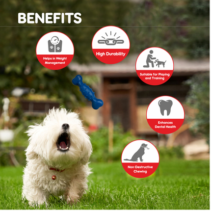 Drools Non- Toxic Rubber Spike Bone Dog Toy, PuppyDog Teething Toy