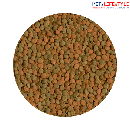 Tetra Wafer Mix Sinking Fish Food for Bottom Feeders & Crustaceans with Shrimp & Spirulina 48 Gram