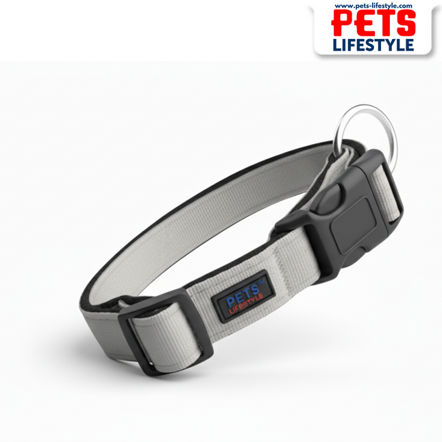 PᴇᴛsLɪғᴇsᴛʏʟᴇ Adjustable Gray Nylon Dog Collar with Soft Padding