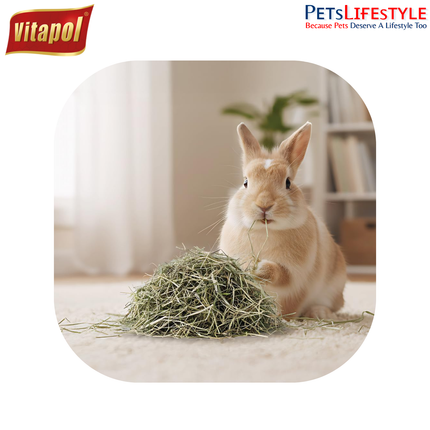 Vitapol Vita Herbal Hay for Rabbits & Rodents