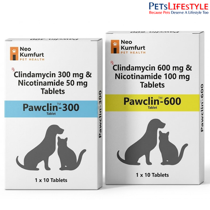 Neo Kumfurt Pawclin – Clindamycin Broad-Spectrum Antibiotic Tablets for Dogs & Cats