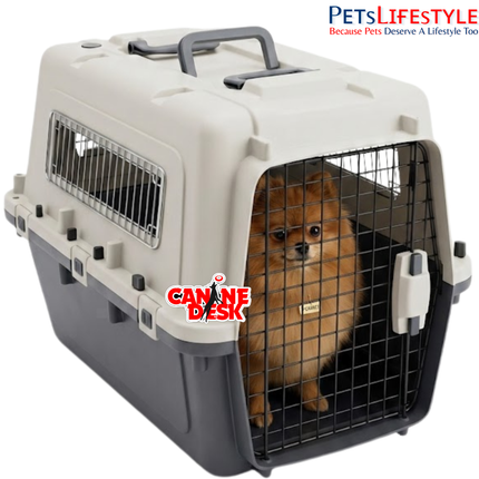 Canine Desk Flight Carrier (24" × 14" × 16") | IATA Approved Airline Travel Crate for Dogs & Cats (Medium)