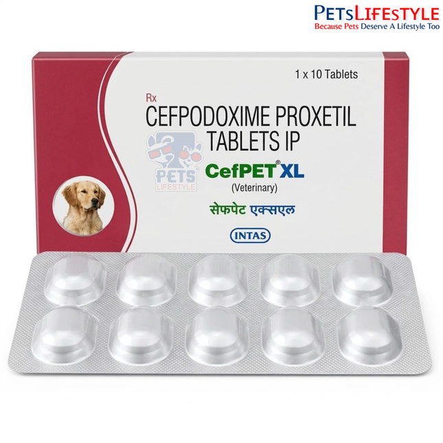 Intas Cefpet XL 200mg Tablet for Dogs & Cats — Cefpodoxime Antibiotic
