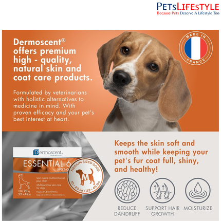 Savavet Dermoscent Essential 6 Spot-On for 10 to 20kg Skin & Coat Care Care for Dogs, Cats & Small Mammals