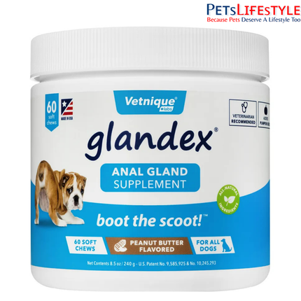 Glandex Anal Gland Support Soft Chews for Dogs & Cats Boot the Scoot Formula