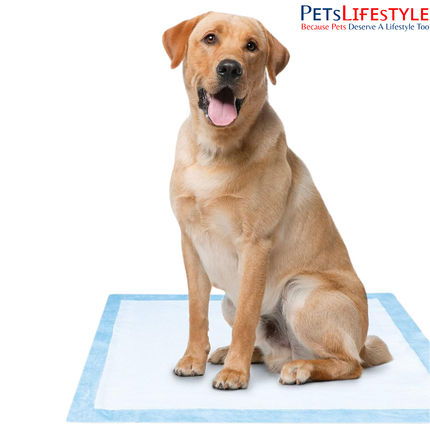 Arm & Hammer Puppy Training Pads with Attraction – 100 Pads (57.1cm x 57.1cm)