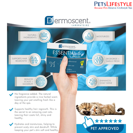 Savavet Dermoscent Essential 6 Spot-On for Cats Skin & Coat Care