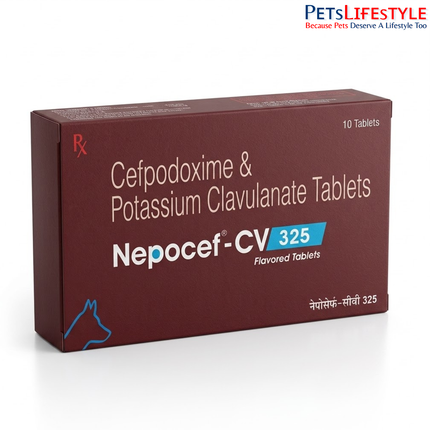 Nepocef-CV 325 mg Tablets for Dogs – Advanced Antibiotic Support for Canine Pyoderma & Bacterial Infections