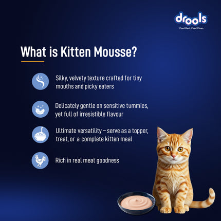 Drools Ocean Fish Mousse Kitten 80g (5+1 Pack)