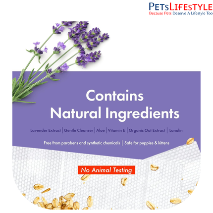 Petkin Giant XL Big N’ Thick PetWipes for Dogs & Cats – 80 Extra-Large Lavender Scent Wipes
