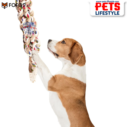 Barkbutler x FOFOS Flossy Rope Toy – Braided