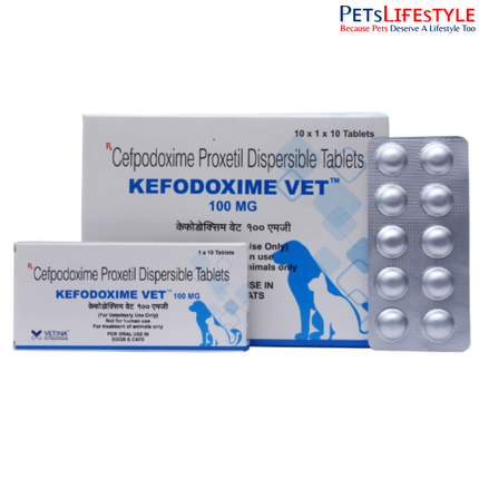 Vetina Kefodoxime Vet DT 100 mg Dispersible Tablets for Dogs and Cats 10 Tablets