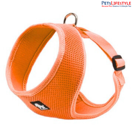 Truelove Cat & Small Dog Harness – Orange – Lightweight Comfort Harness