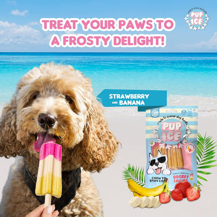 PUP ICE Ready to Freeze Rocket Lollies Dog Treats Strawberry & Banana 90gm