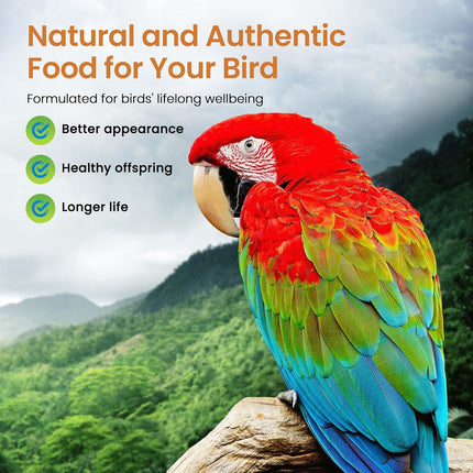 Harrison's Bird Foods High Potency Coarse Maximum Nutritional Certified Organic Formula For Medium To Large Birds