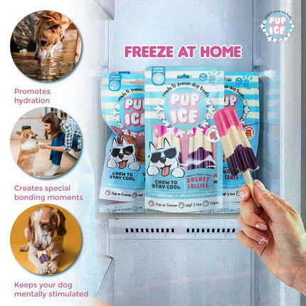 PUP ICE Ready to Freeze Rocket Lollies Dog Treats Blueberry & Strawberry 90gm