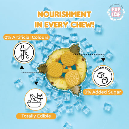 Pup Ice Ready to Freeze Fruity Lollies Dog Treats Pebbles – Pineapple Flavour 90g