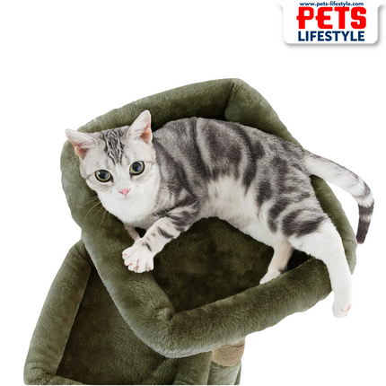 Canine Desk Kitten Cat Tree – Condo with Scratching Posts, Detachable Beds, Hanging Ball & Removable Cover
