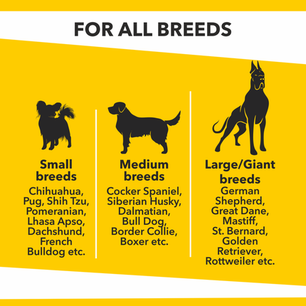Baked Delights Chicken Flavour Round Shape Dog Treats (800g)