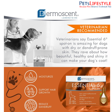 Savavet Dermoscent Essential 6 Spot-On for 10 to 20kg Skin & Coat Care Care for Dogs, Cats & Small Mammals