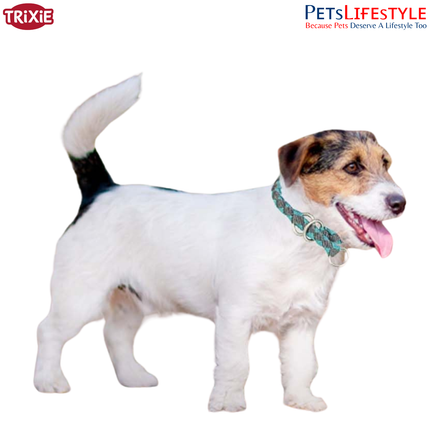 Trixie Cavo Semi-Choke Collar for Dogs | Strong Rope Training Collar with Chrome Chain | Comfortable No-Pull Control