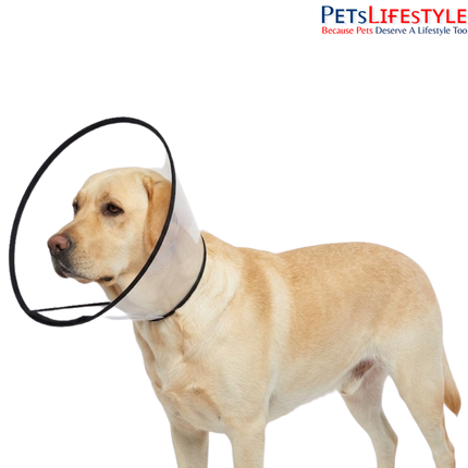Elizabethan Collar for Dogs, Cats & Rabbits – Protective Recovery Cone (E-Collar)