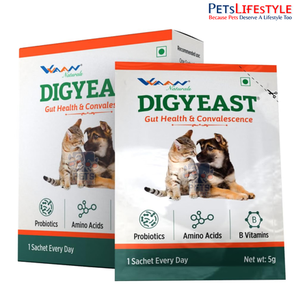 VVAAN Digyeast Pouch Gut Health & Anti-Stress Supplement for Dogs & Cats – 100% Natural Brewer's Yeast, 50 g (10 Sachets)
