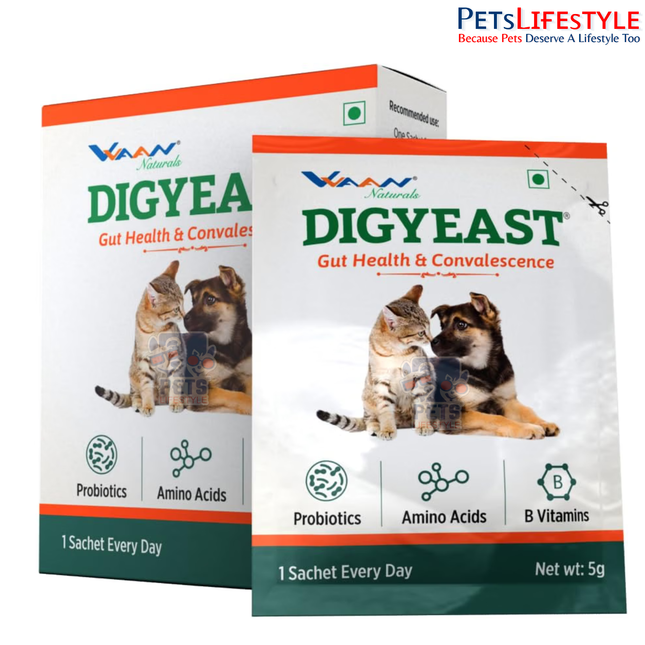 VVAAN Digyeast Pouch Gut Health & Anti-Stress Supplement for Dogs & Cats – 100% Natural Brewer's Yeast, 50 g (10 Sachets)