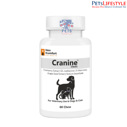 Cranine Chews – Urinary Health Support | UTI Prevention & Bladder Care Supplement