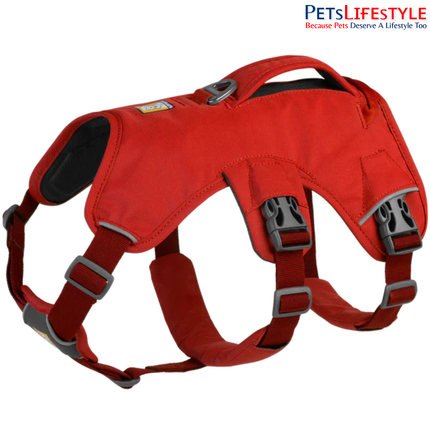 Ruffwear Web Master Dog Harness | Supportive Multi-Use Harness for Assistance, Hiking & Working Dogs