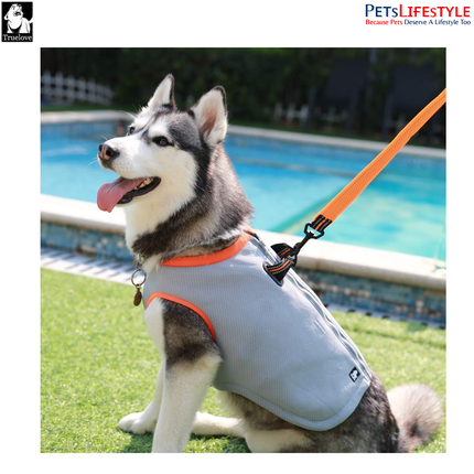 Truelove Cooling Vest for Dogs – Grey / Orange – Evaporative Cooling Harness