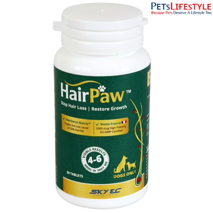 Sky EC HairPaw Tablets | Advanced Hair Fall Control & Coat Restoration Supplement for Dogs