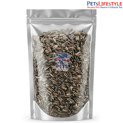 Petslifestyle Premium Sunflower Seeds (500g) – High Energy Bird Food for Parrots & Exotic Birds