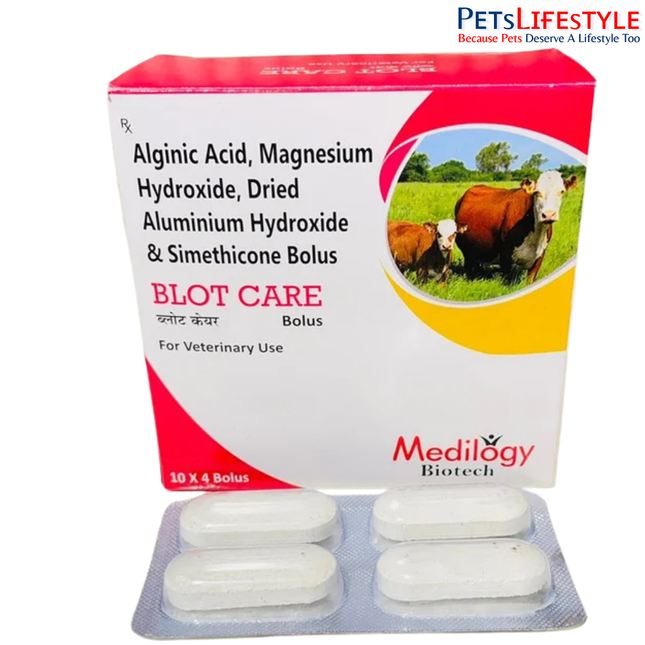BLOT-CARE Vet Bolus – Alginic Acid, Magnesium Hydroxide, Dried Aluminium Hydroxide & Simethicone Bolus | Gastrointestinal Support for Livestock