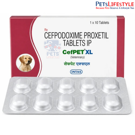 Intas Cefpet XL 200mg Tablet for Dogs & Cats — Cefpodoxime Antibiotic