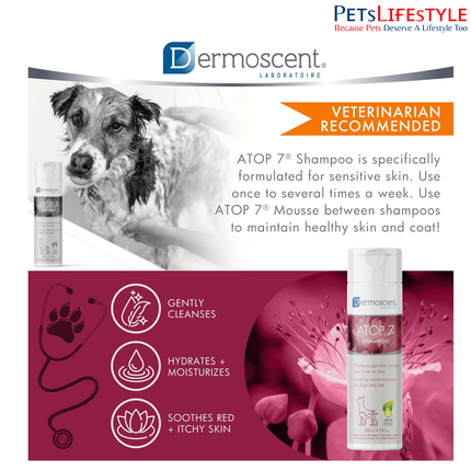 Savavet Dermoscent ATOP 7 Shampoo – Soothing Cream Shampoo for Dogs & Cats (200 ml)