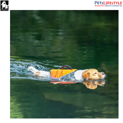 Truelove Dog Life Jacket – Neon Yellow – Waterproof Safety Swim Vest
