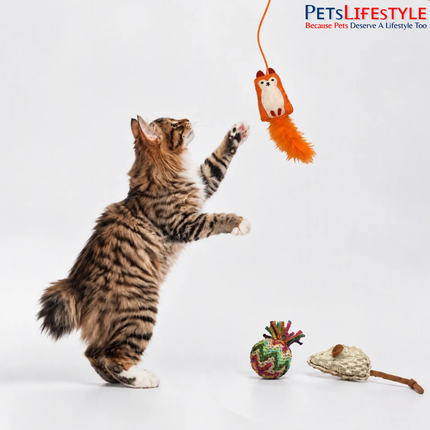 FOFOS Natural Cat Toy – Fox & Friends with Wand
