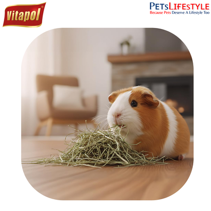 Vitapol Vita Herbal Hay for Rabbits & Rodents