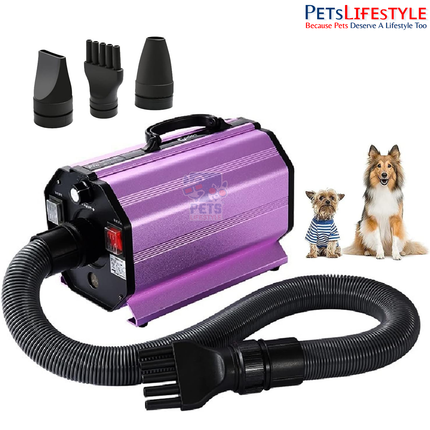 CODOS CP-200 Professional Pet Dryer for Dogs & Cats