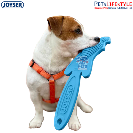 JOYSER Slimmy Skin Fox with Replaceable Ball Durable Dog Toy – Blue (S/M)