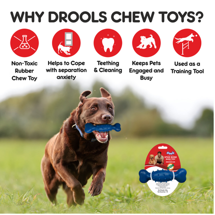 Drools Non- Toxic Rubber Spike Bone Dog Toy, PuppyDog Teething Toy