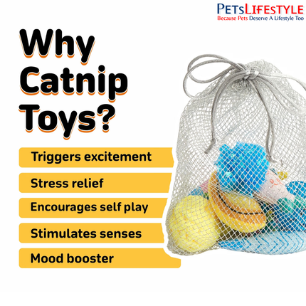 FOFOS Sardine Fish Cat Toy (Pack of 9) – Value Pack Catnip Fish for Kittens & Cats