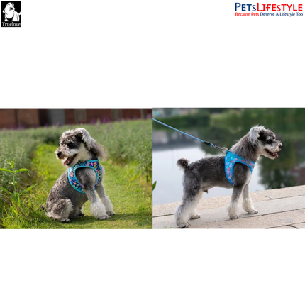 Truelove Easy Fit Quick-Release Pet Harness with Dual D-Rings