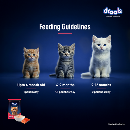 Drools Salmon Mousse Kitten 80g (5+1 Pack)