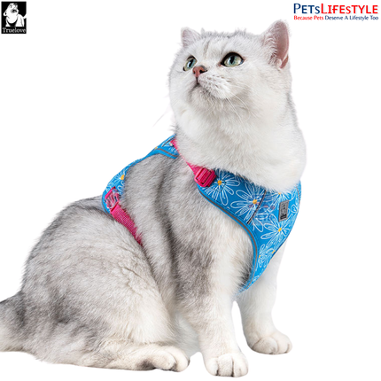 Truelove Ultra Light Small Dog Harness & Leash Set – Diva Blue