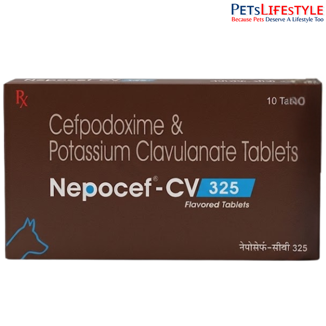 Nepocef-CV 325 mg Tablets for Dogs – Advanced Antibiotic Support for Canine Pyoderma & Bacterial Infections